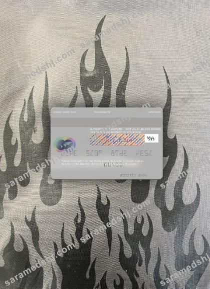 Slovakia Tatra Banka mastercard gray photolook back